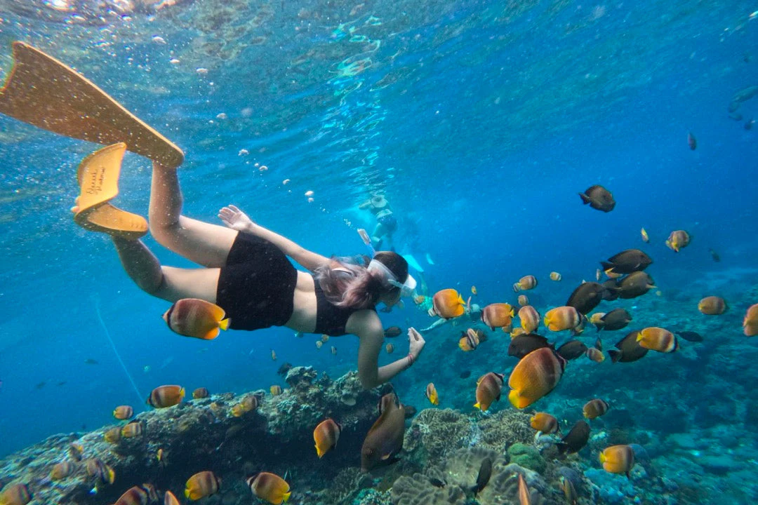 Private Snorkeling Adventure